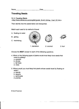 Traveling Seeds Worksheet