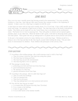 June Bugs Reading Warm-Up