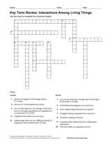Science Key Term Review: Interactions Among Living Things