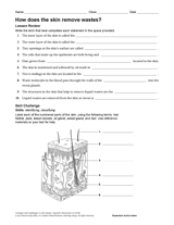 How Does the Skin Remove Wastes?